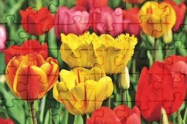 1 jigsaw puzzle