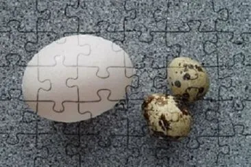 Foto jigsaw puzzle