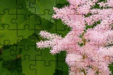 OK jigsaw puzzle