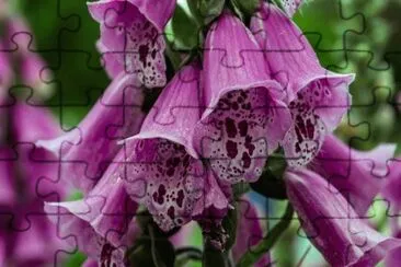 OK jigsaw puzzle