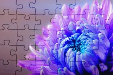 OK jigsaw puzzle