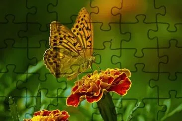 OK jigsaw puzzle