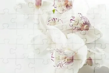 OK jigsaw puzzle
