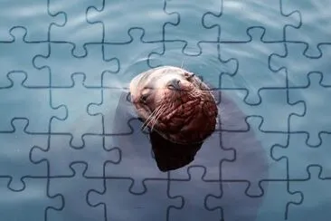 OK jigsaw puzzle