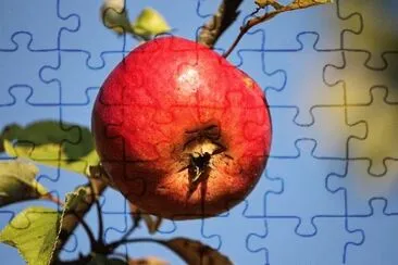 OK jigsaw puzzle