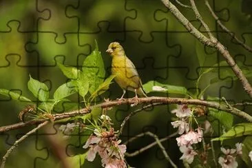 OK jigsaw puzzle