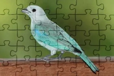 OK jigsaw puzzle