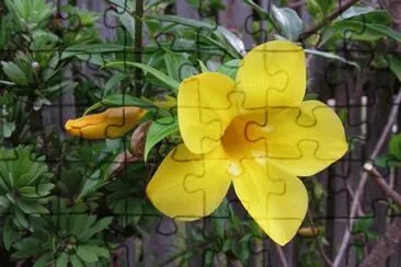 OK jigsaw puzzle