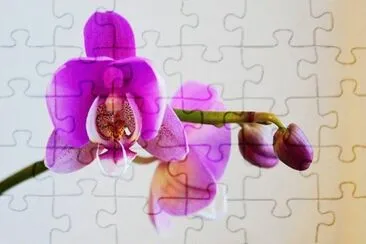OK jigsaw puzzle