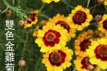 èŠ