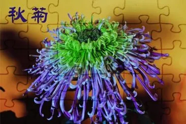 èŠ