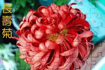 èŠ