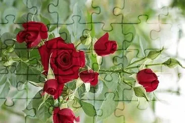 flores jigsaw puzzle