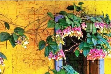 flores