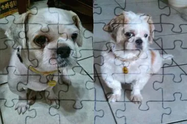 å¯æ„›å¯¶è² jigsaw puzzle