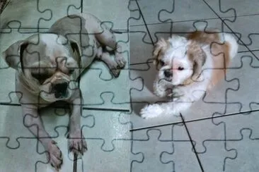 å¯æ„›å¯¶è² jigsaw puzzle
