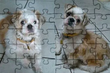 å¯æ„›å¯¶è² jigsaw puzzle