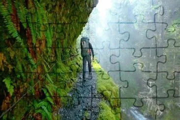 Nature jigsaw puzzle