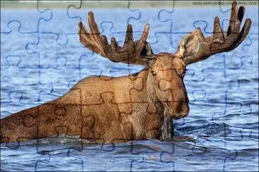 OK jigsaw puzzle