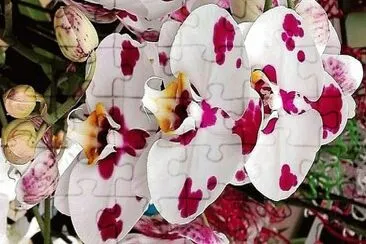flores jigsaw puzzle