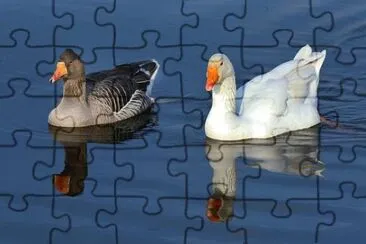 OK jigsaw puzzle