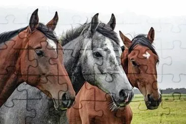 OK jigsaw puzzle