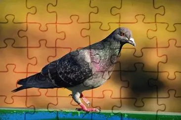 OK jigsaw puzzle