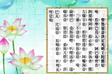 è–ç„¡é‡å£½æ±ºå®šå…‰æ˜ŽçŽ‹é™€ç¾…å°¼