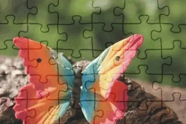 Butterfly jigsaw puzzle