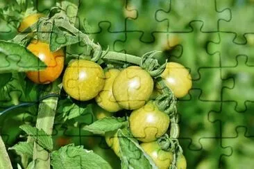 OK jigsaw puzzle