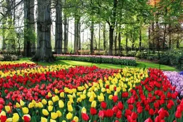 Nature jigsaw puzzle