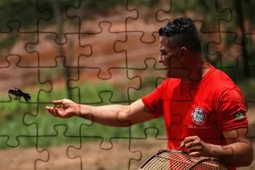 Imagem jigsaw puzzle