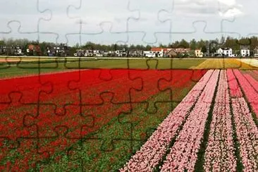 Holambra jigsaw puzzle