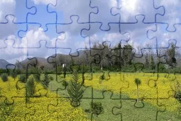 piantagione 2004 jigsaw puzzle