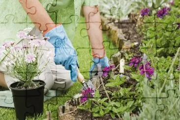 Natureza jigsaw puzzle