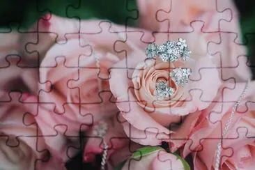 Rosas jigsaw puzzle