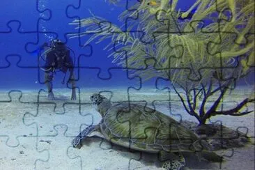 OK jigsaw puzzle