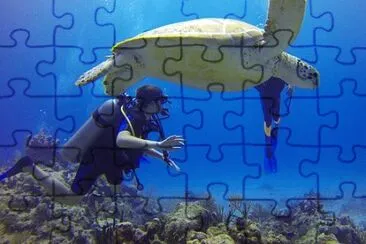 OK jigsaw puzzle