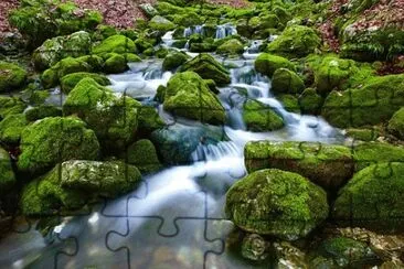 Imagem jigsaw puzzle