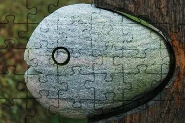 Imagem jigsaw puzzle