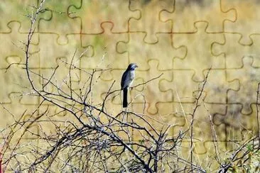 OK jigsaw puzzle