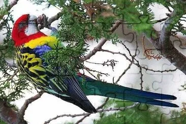 natural jigsaw puzzle