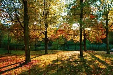 Imagem jigsaw puzzle