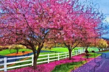 Imagem jigsaw puzzle