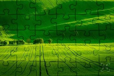 Imagem jigsaw puzzle