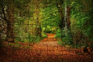 Imagem jigsaw puzzle
