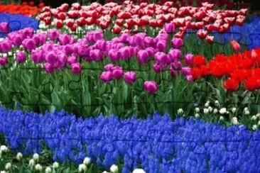 Imagem jigsaw puzzle