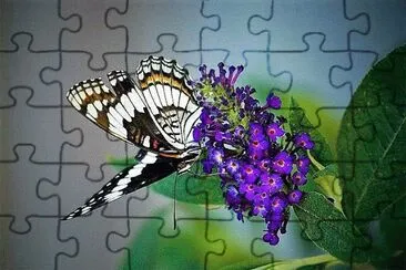 פאזל של natural