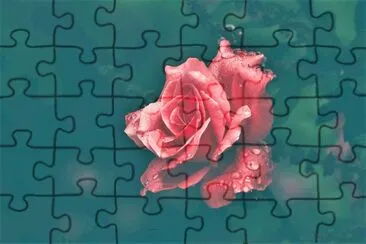 פאזל של flores