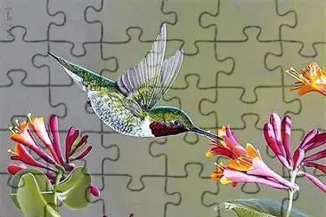 פאזל של natural
